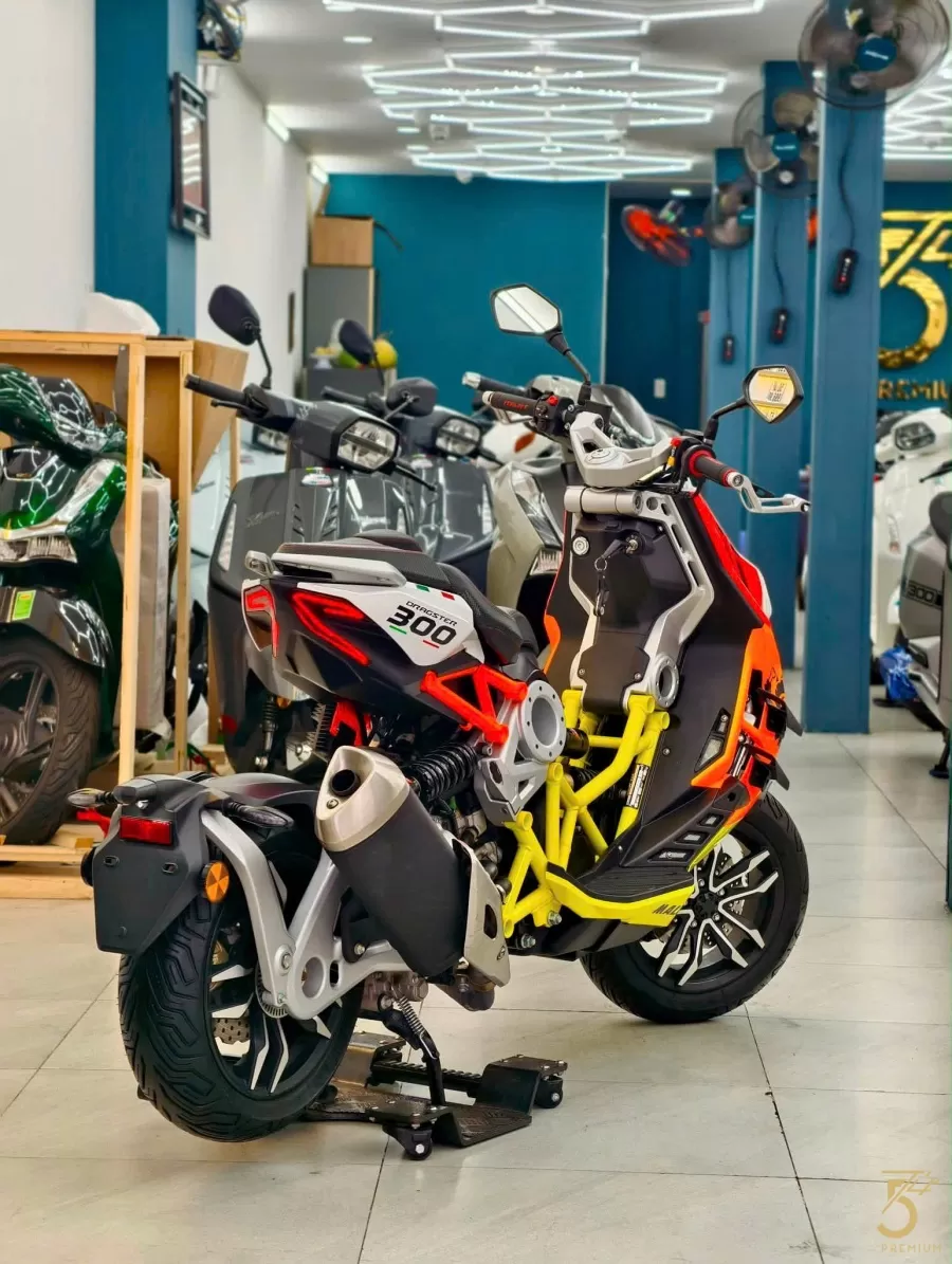 Dragster Mallossi300 2025